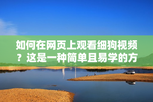 如何在网页上观看细狗视频？这是一种简单且易学的方法
