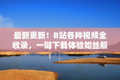最新更新！B站各种视频全收录，一键下载体验如丝般顺滑