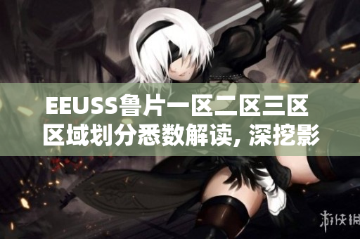 EEUSS鲁片一区二区三区 区域划分悉数解读, 深挖影响和未来发展