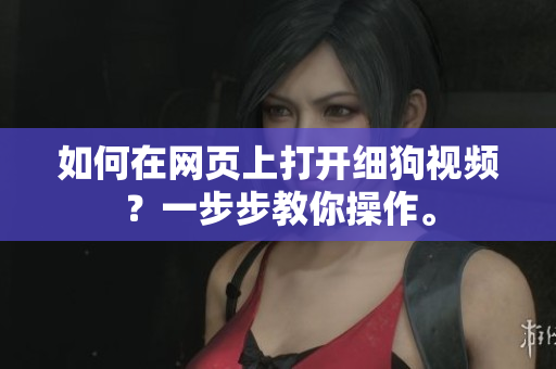 如何在网页上打开细狗视频？一步步教你操作。