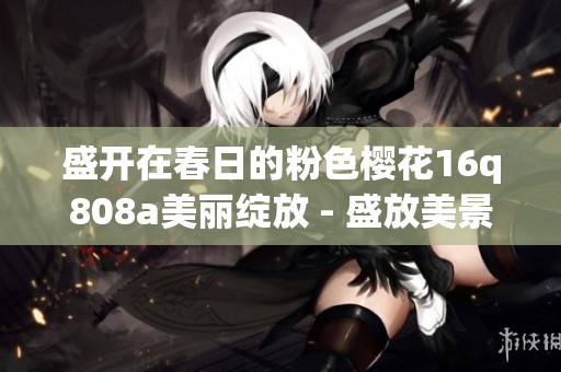 盛开在春日的粉色樱花16q808a美丽绽放 - 盛放美景的时刻