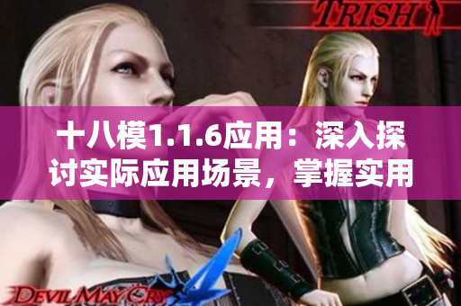 十八模1.1.6应用：深入探讨实际应用场景，掌握实用技巧