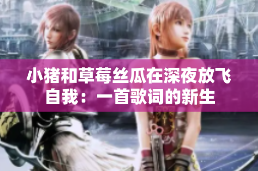 小猪和草莓丝瓜在深夜放飞自我：一首歌词的新生