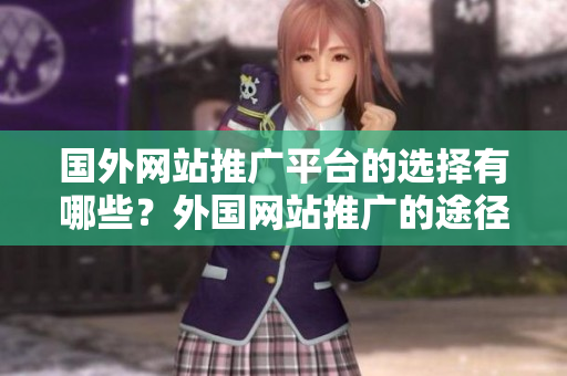 国外网站推广平台的选择有哪些？外国网站推广的途径有哪些？