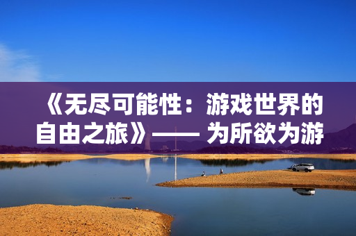 《无尽可能性：游戏世界的自由之旅》—— 为所欲为游戏汉化