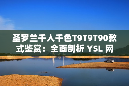 圣罗兰千人千色T9T9T90款式鉴赏：全面剖析 YSL 网页版完美展现