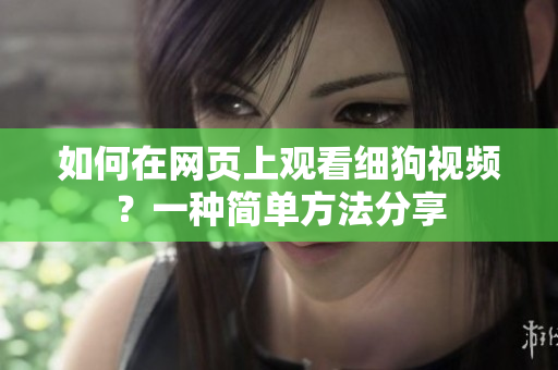 如何在网页上观看细狗视频？一种简单方法分享