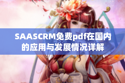 SAASCRM免费pdf在国内的应用与发展情况详解