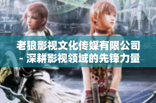 老狼影视文化传媒有限公司 - 深耕影视领域的先锋力量