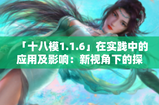 「十八模1.1.6」在实践中的应用及影响：新视角下的探讨