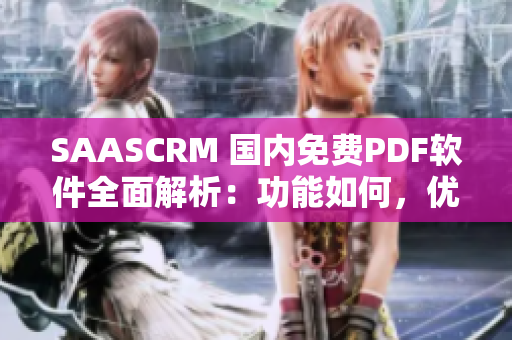 SAASCRM 国内免费PDF软件全面解析：功能如何，优缺点有哪些？