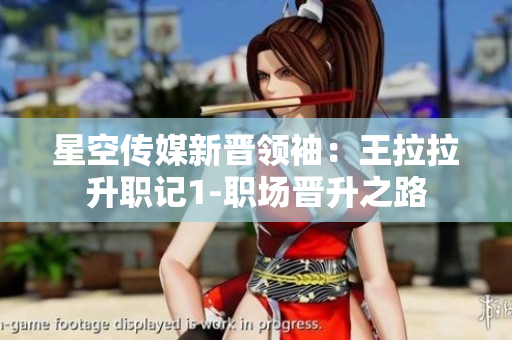 星空传媒新晋领袖：王拉拉升职记1-职场晋升之路