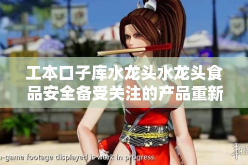 工本口子库水龙头水龙头食品安全备受关注的产品重新检验评定