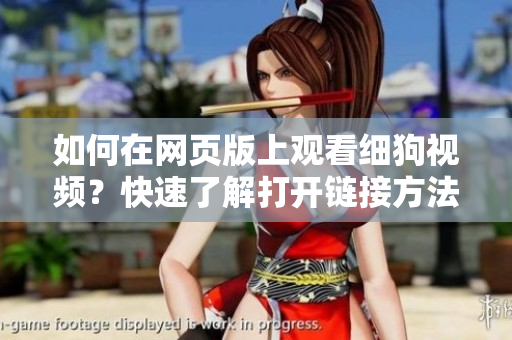 如何在网页版上观看细狗视频？快速了解打开链接方法
