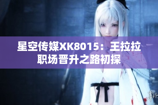星空传媒XK8015：王拉拉职场晋升之路初探