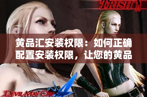 黄品汇安装权限：如何正确配置安装权限，让您的黄品汇稳定运行