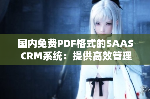 国内免费PDF格式的SAAS CRM系统：提供高效管理与优质服务