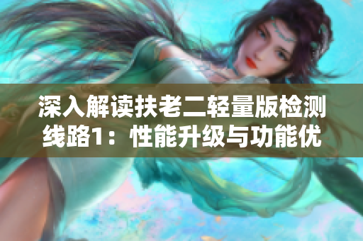 深入解读扶老二轻量版检测线路1：性能升级与功能优化全方位解析