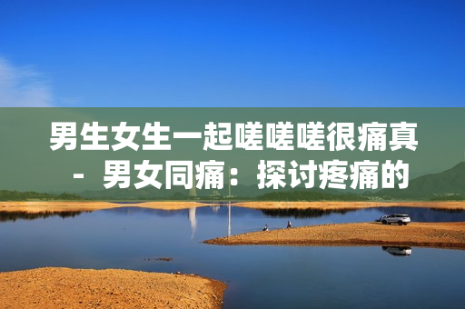 男生女生一起嗟嗟嗟很痛真  -  男女同痛：探讨疼痛的真相