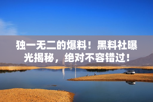 独一无二的爆料！黑料社曝光揭秘，绝对不容错过！