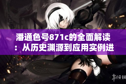 潘通色号871c的全面解读：从历史渊源到应用实例进行深入探讨