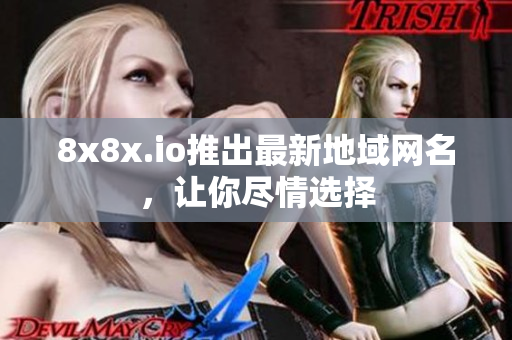 8x8x.io推出最新地域网名，让你尽情选择