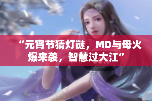 “元宵节猜灯谜，MD与母火爆来袭，智慧过大江”