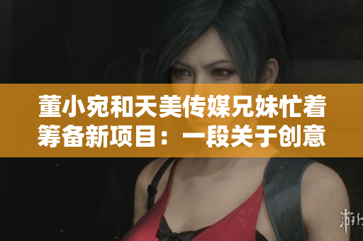 董小宛和天美传媒兄妹忙着筹备新项目：一段关于创意与激情的故事