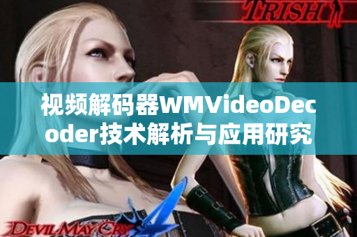 视频解码器WMVideoDecoder技术解析与应用研究