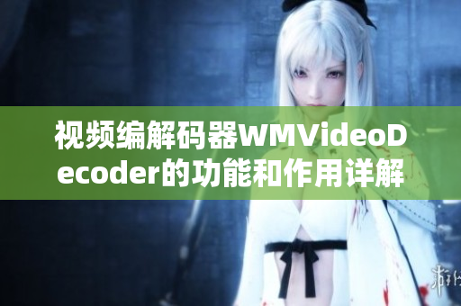 视频编解码器WMVideoDecoder的功能和作用详解