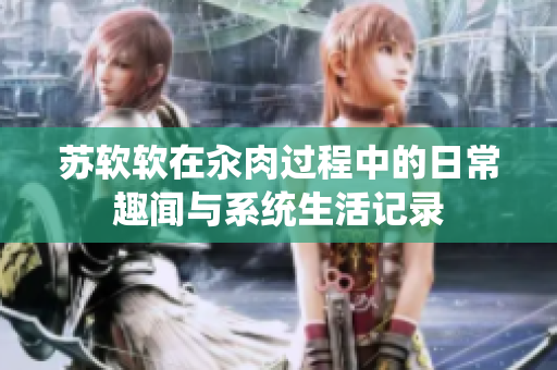 苏软软在汆肉过程中的日常趣闻与系统生活记录