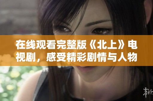 在线观看完整版《北上》电视剧，感受精彩剧情与人物魅力