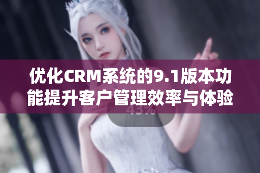 优化CRM系统的9.1版本功能提升客户管理效率与体验