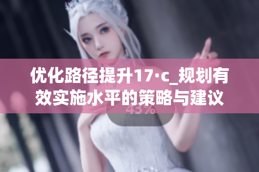 优化路径提升17·c_规划有效实施水平的策略与建议