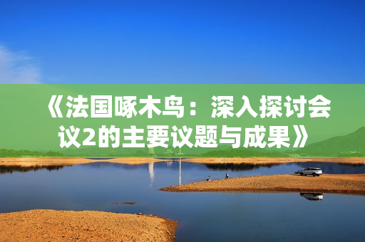 《法国啄木鸟：深入探讨会议2的主要议题与成果》