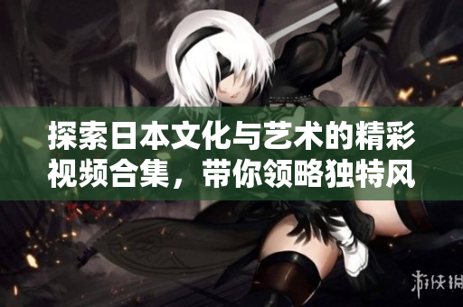 探索日本文化与艺术的精彩视频合集，带你领略独特风情