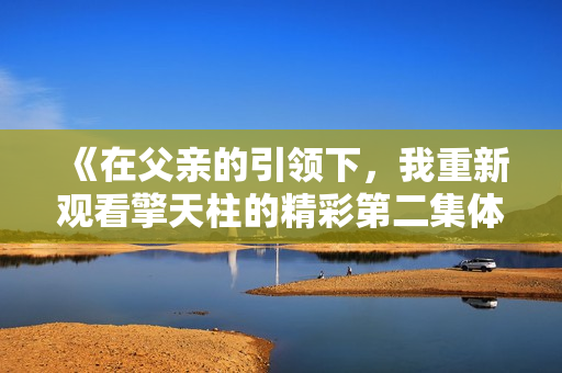 《在父亲的引领下，我重新观看擎天柱的精彩第二集体验》
